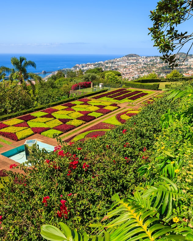 Solferie til naturskønne Madeira billede 4