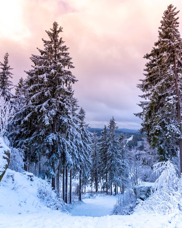 All Inclusive-ferie i Harzen billede 5