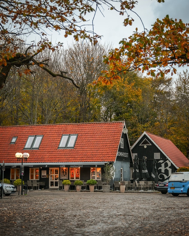 Stegt Flæsk Ad Libitum - Bomhuset i Charlottenlund billede 4