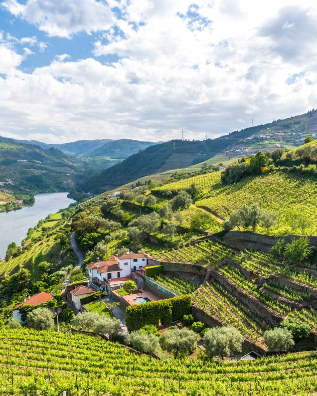 Portugisisk rundrejse til Porto og Lissabon billede 7