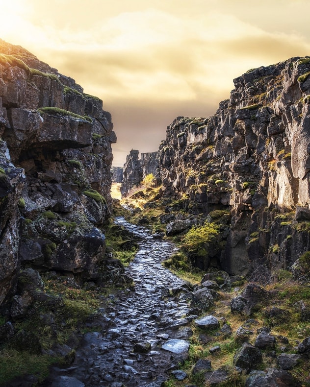 Drømmerejse til Island billede 6