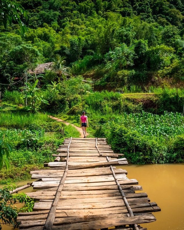 Oplev hele Vietnam fra nord til syd billede 7