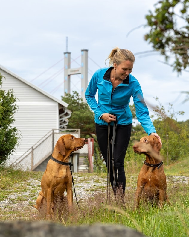 Tjörnbro Arena: Et ophold for hele familien billede 4