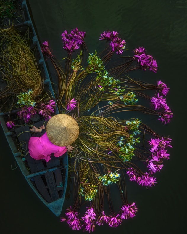 Drømmerejse til det sydlige Vietnam billede 3