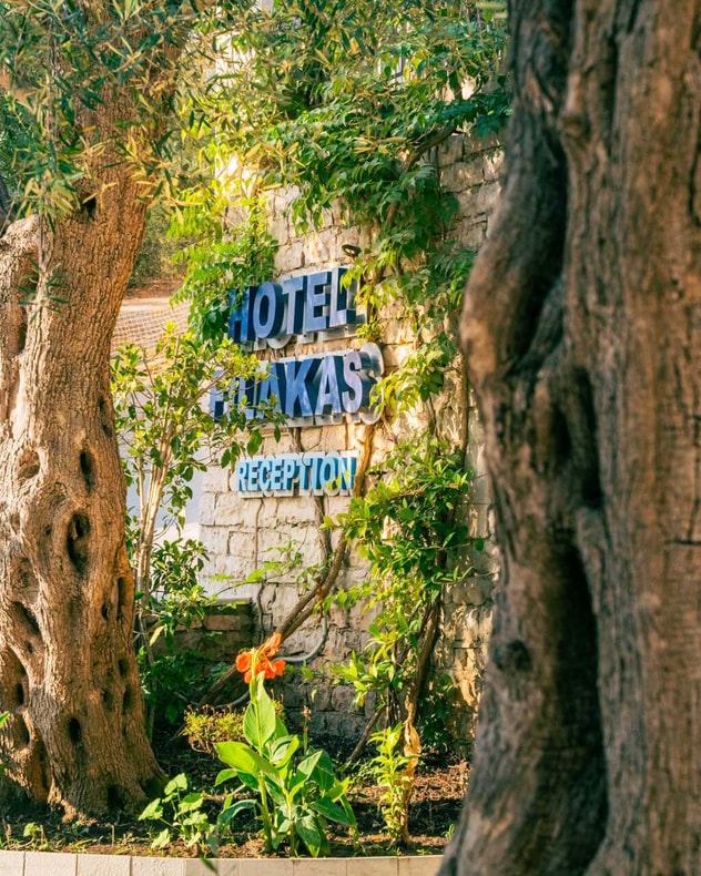 Voksenferie til Sivota med Apollo billede 3