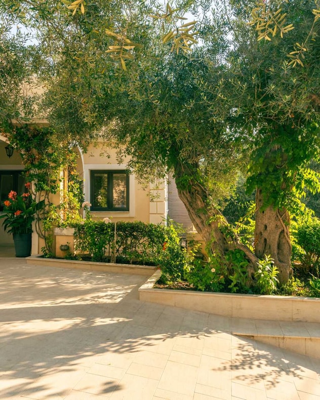 Voksenferie til Sivota med Apollo billede 6