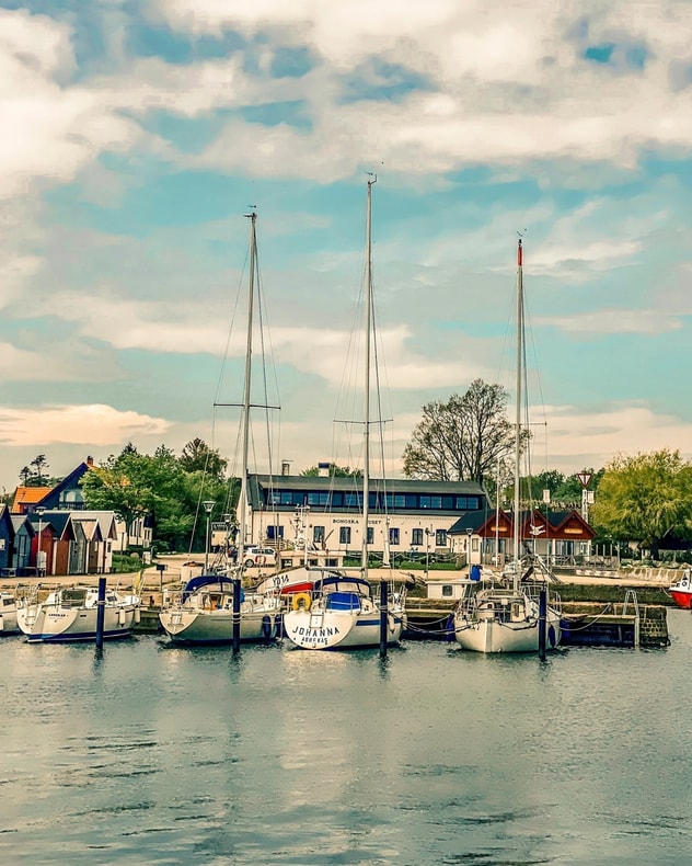 Bongska Huset i Skåne billede 7