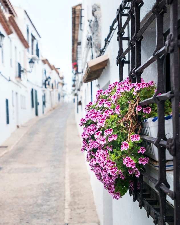 Solferie i Alicante billede 5