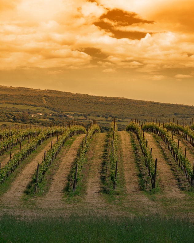Oplev smukke Sardinien billede 5