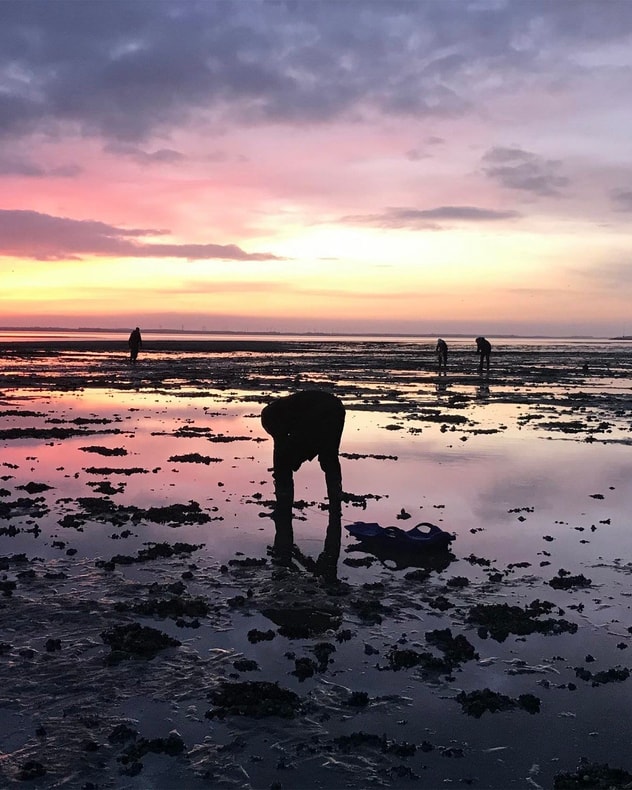 Østerssafari og fiskebuffet på Kommandørgården Rømø billede 5
