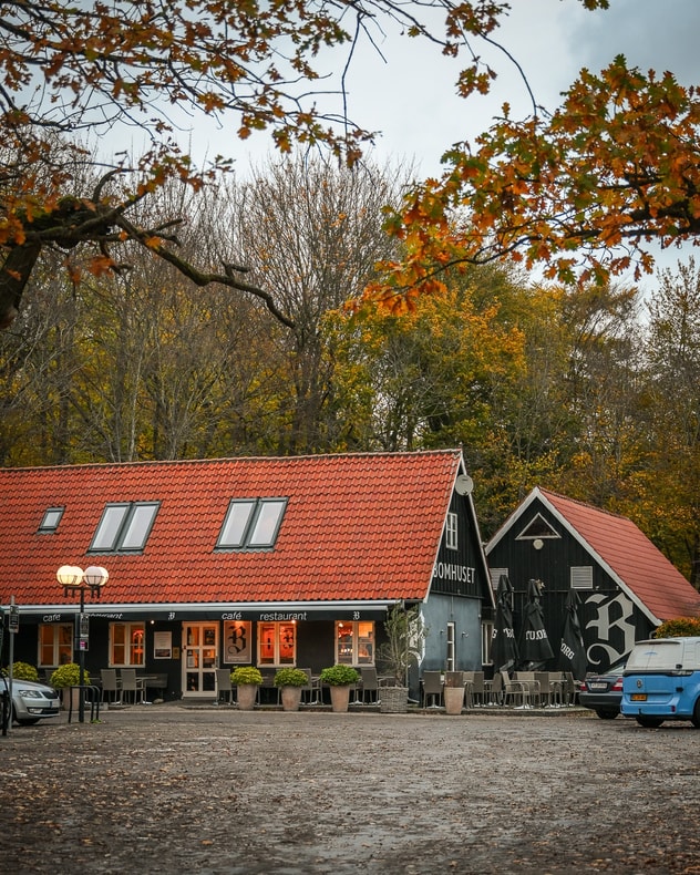 Stegt Flæsk Ad Libitum - Bomhuset i Charlottenlund billede 4