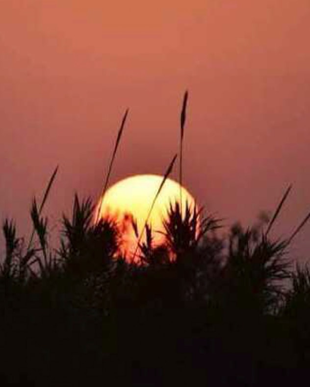 Apollo: Strand-ferie på Korfu billede 7