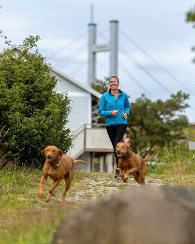 Tjörnbro Arena: 2 nætter med familien billede 4
