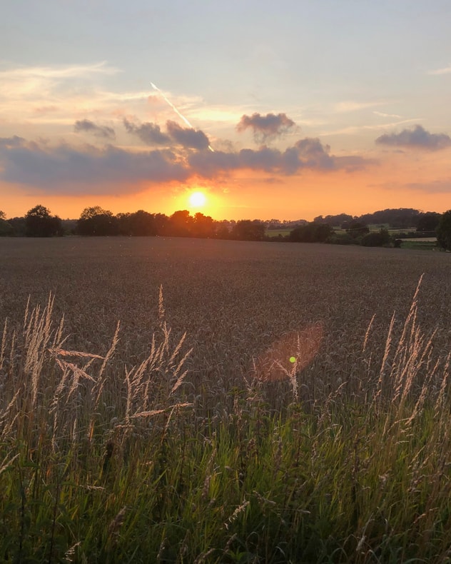 HALV PRIS: Oplev Tullesbo Sätesgård i Skåne billede 4