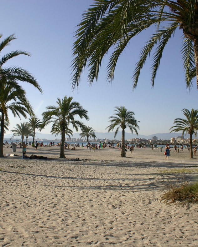 Solferie på Mallorca billede 4