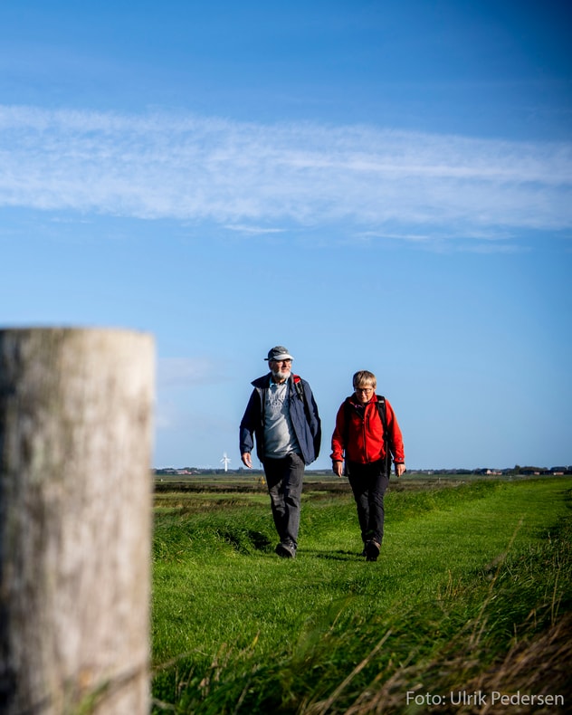 Ophold og vandring ved Tønder billede 4
