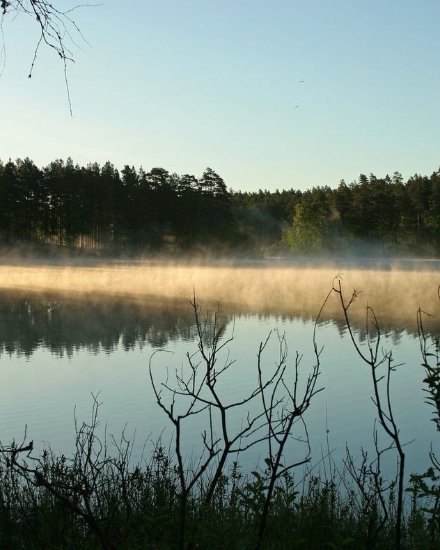 Forkælelsesophold på Hotell Bellevue billede 6