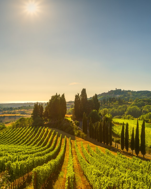 Rejs til fortryllende Toscana billede 6