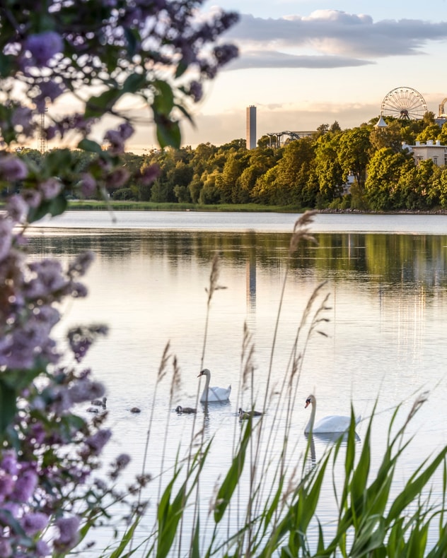 Oplev Helsinki - Finlands hovedstad billede 6