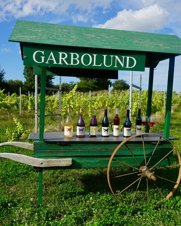 Glamping og vingårdsidyl på Garbolund billede 5