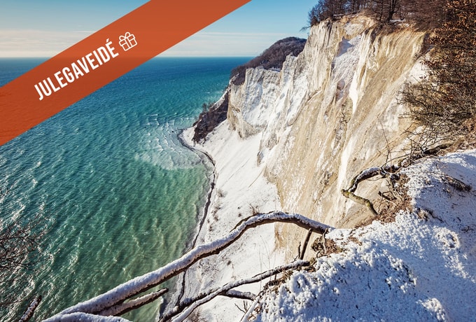 Vinterophold i Dark Sky Suites på Møn