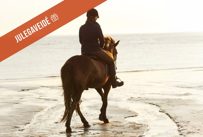 Kommandørgården på Rømø inkl. udflugt til Sild