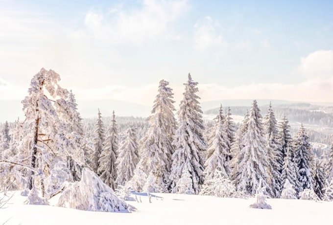 All Inclusive: Hotel Harzöhe | 3 overnatninger