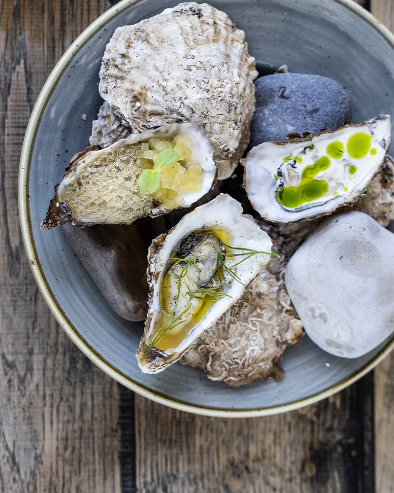 Sommerophold på Nørre Vosborg