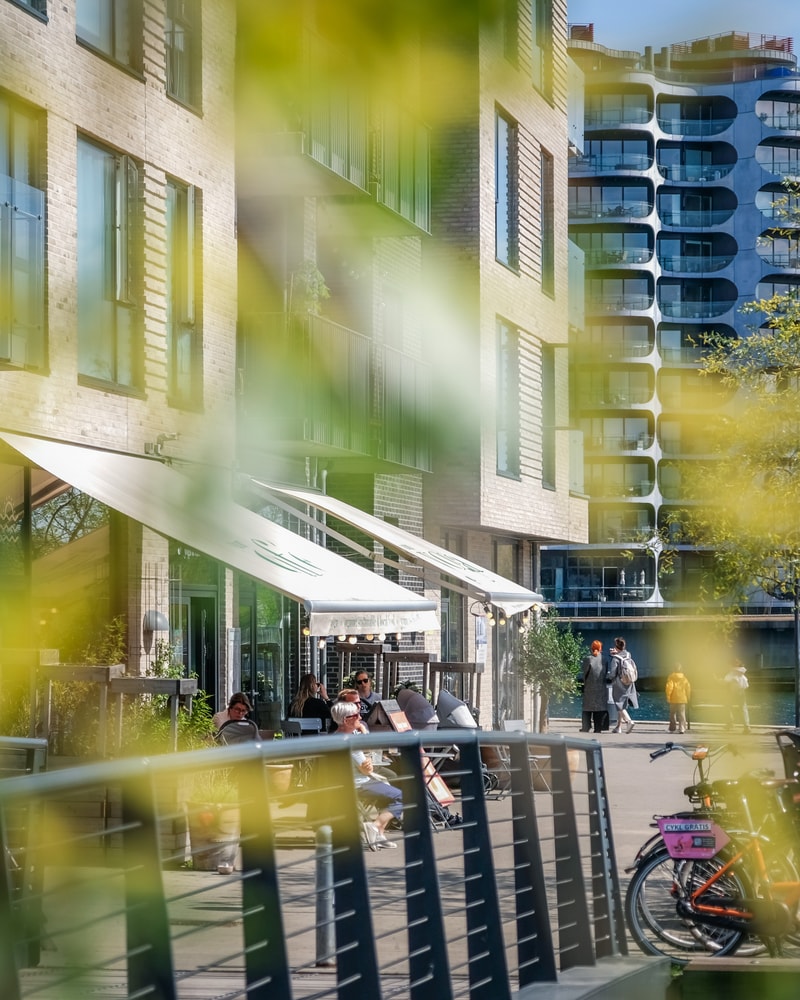 To fluffy baos og frisk side salat hos yoga-café med havudsigt i det nye, hippe Sydhavnen