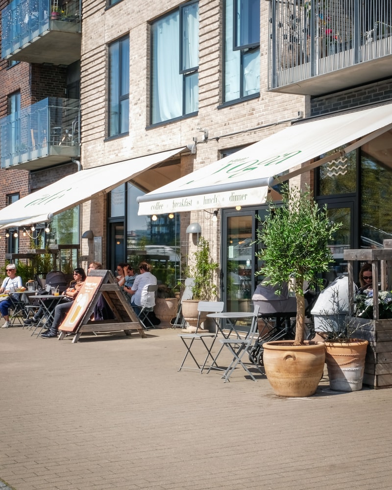 To fluffy baos og frisk side salat hos yoga-café med havudsigt i det nye, hippe Sydhavnen