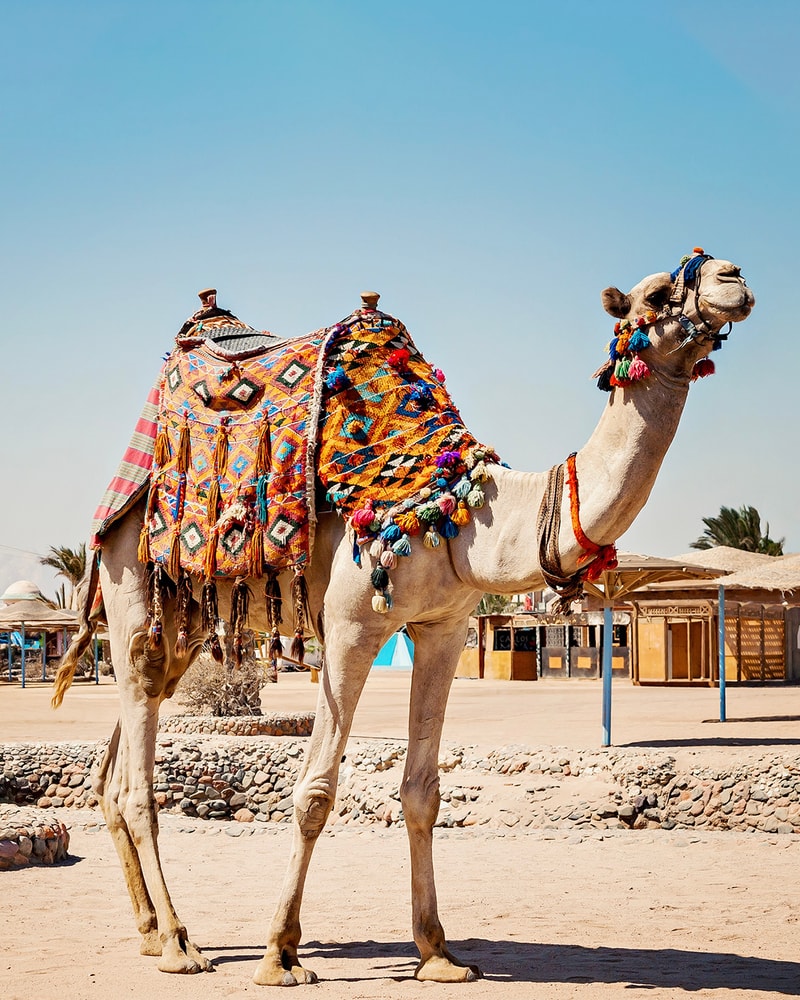 All Inclusive i Hurghada