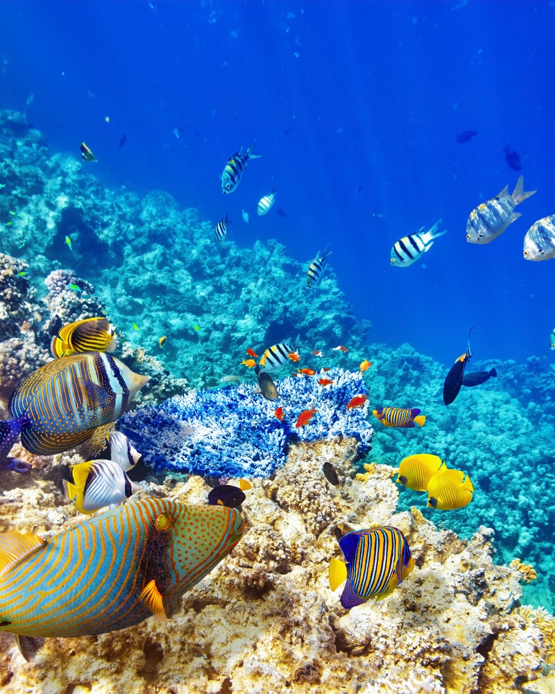 All Inclusive i Hurghada