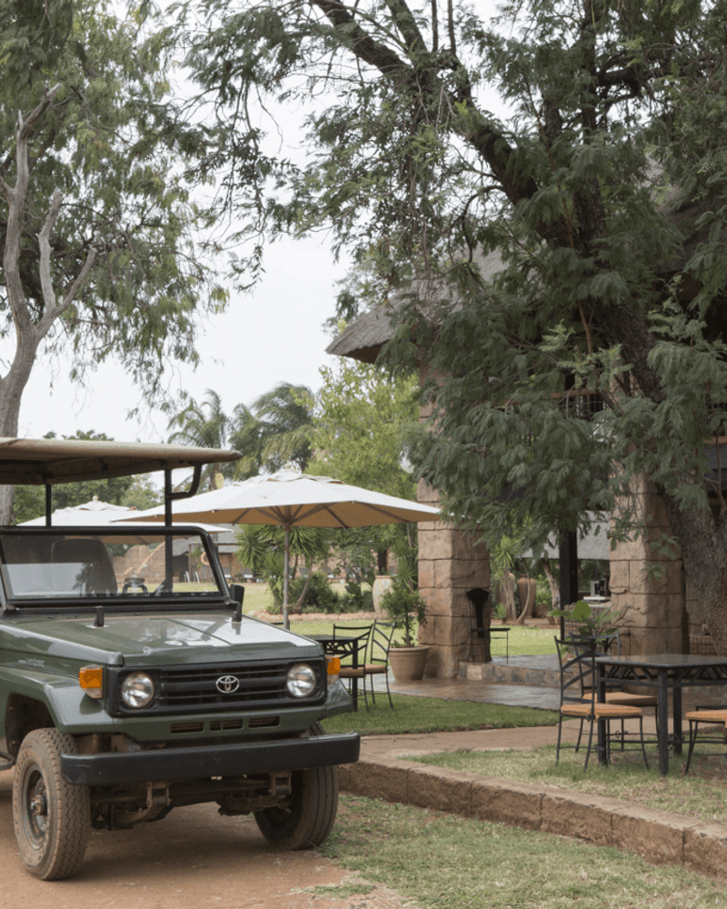 Safari-eventyr i Sydafrika