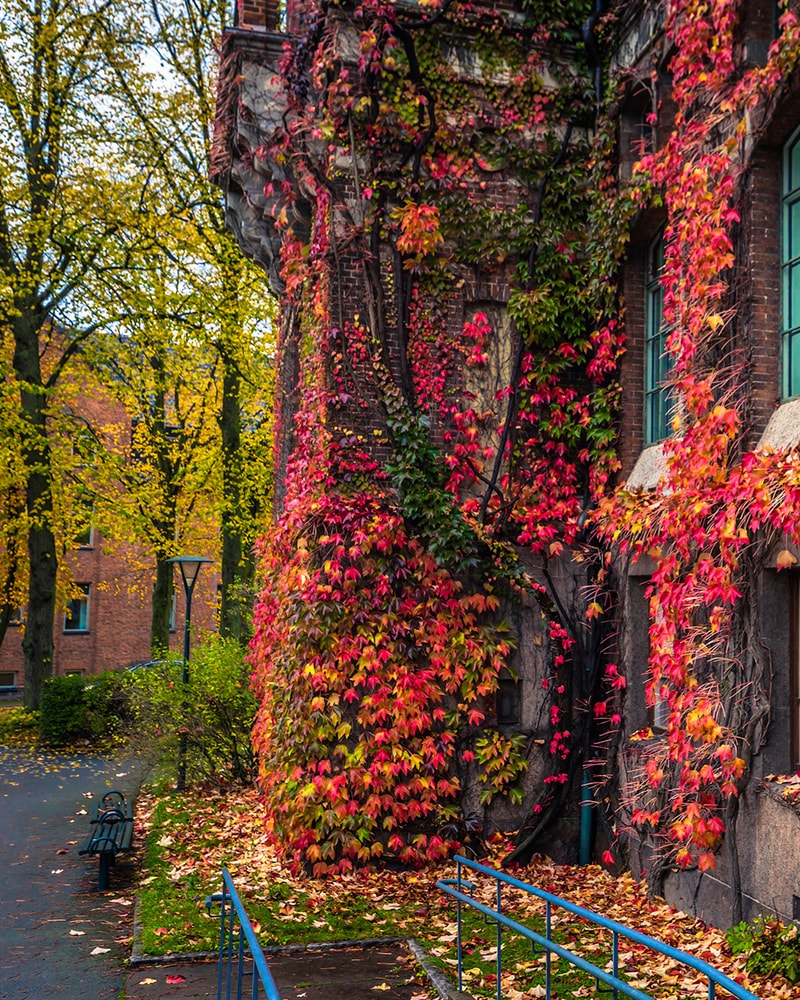 Motel L i Lund