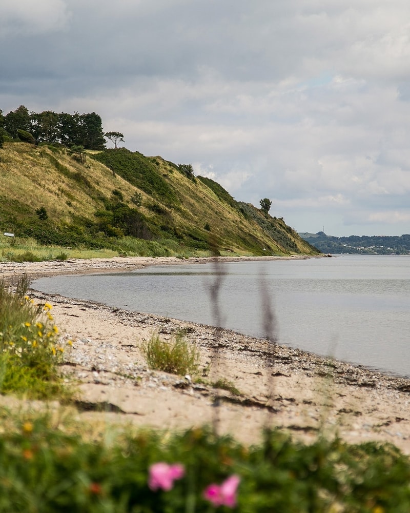 Fuglsøcentret i Mols Bjerge