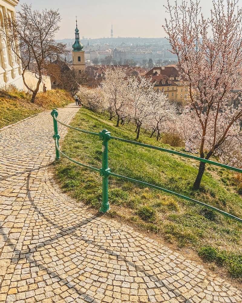 Storbyrejse til fantastiske Prag