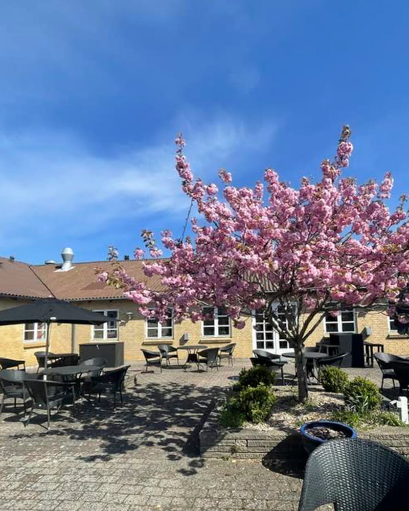 Spar 42 %: Rønnes Hotel