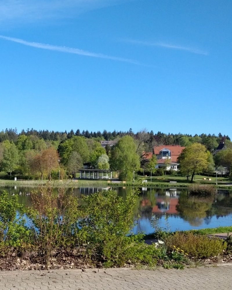 All Inclusive: Hotel Harzöhe | 3 overnatninger