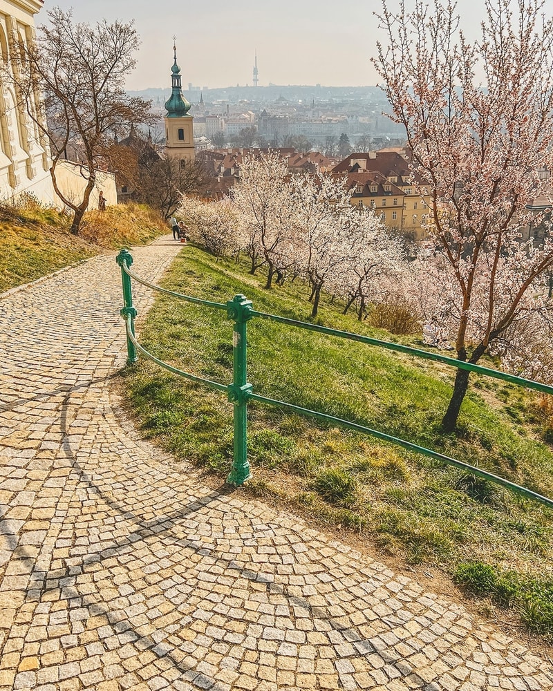 Storbyrejse til fantastiske Prag