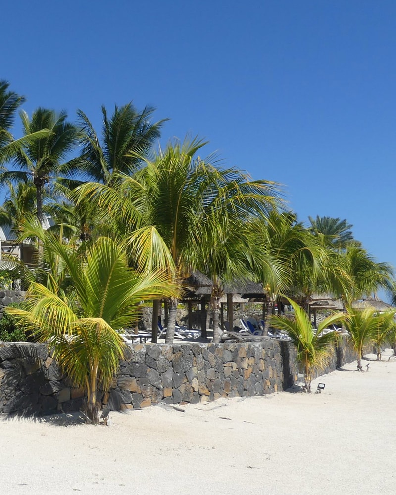 Tropisk eventyr til Mauritius!
