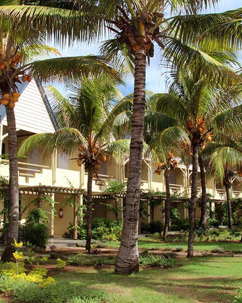 Tropisk eventyr til Mauritius!