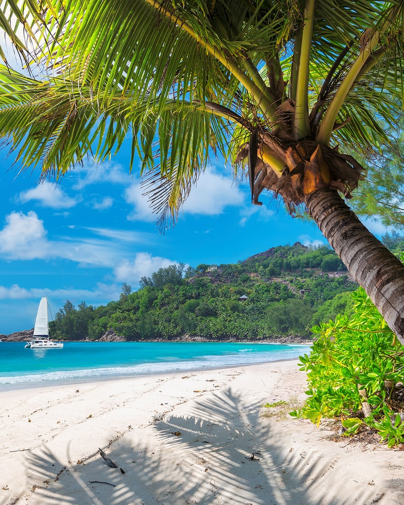 Rundrejse i Indien: Taj Mahal, Nicobarerne og Tigersafari