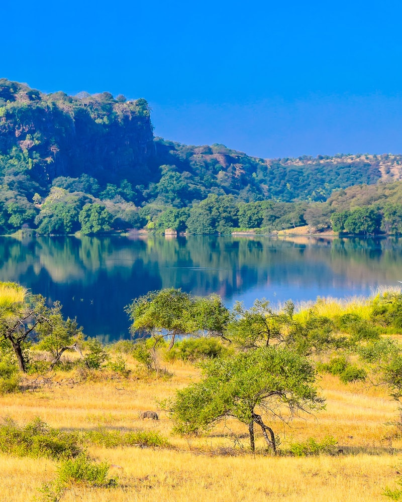 Rundrejse i Indien: Taj Mahal, Nicobarerne og Tigersafari