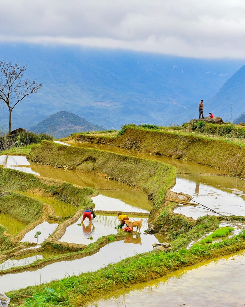 Oplev hele Vietnam fra nord til syd