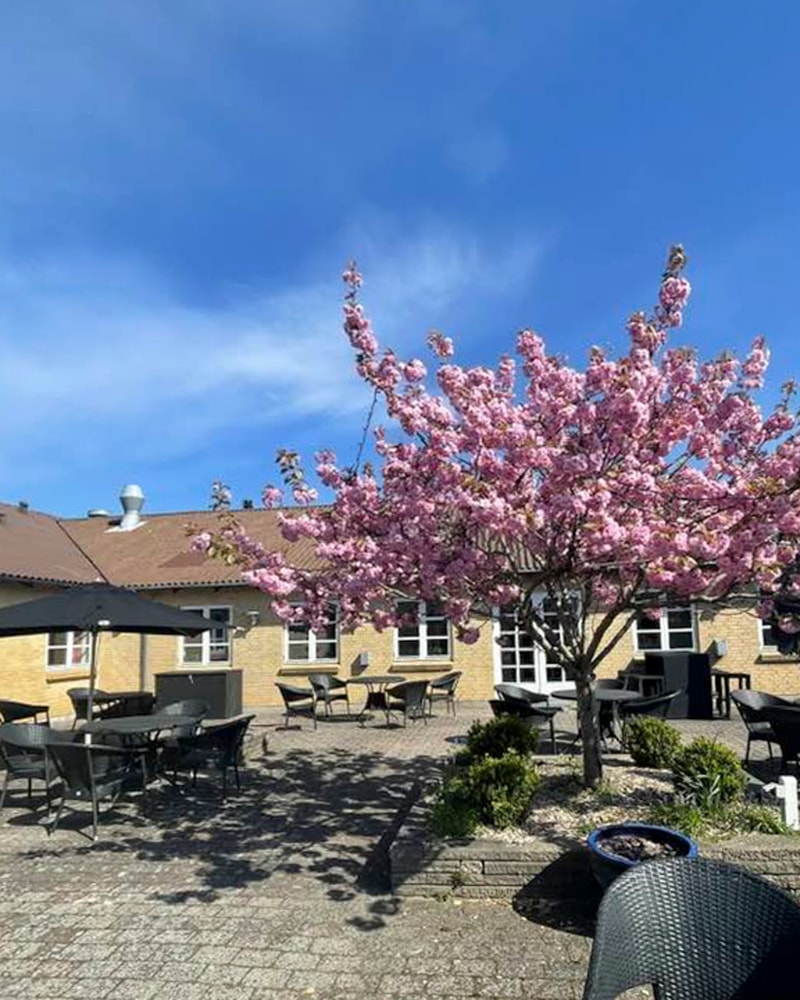 Spar 42 %: Rønnes Hotel