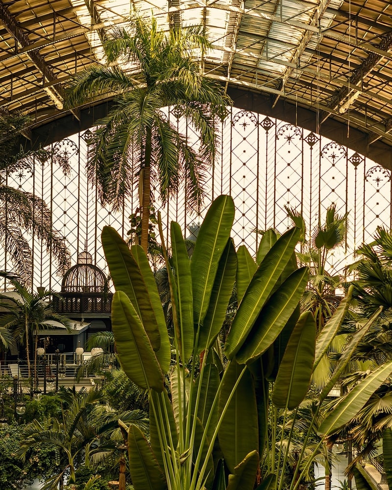 Madrid | Rejs til Spaniens hovedstad