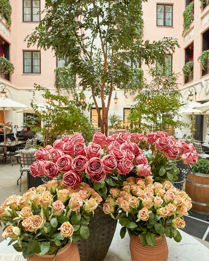 Bo på det prisvindende MJ'S