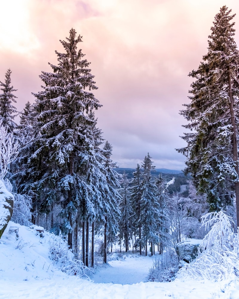 All Inclusive-ferie i Harzen