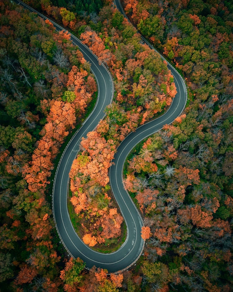 All Inclusive-ferie i Harzen