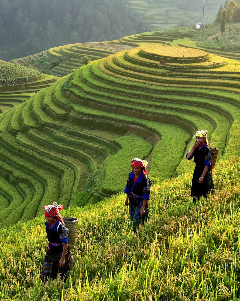 Drømmerejse til Bali og Gili-øerne